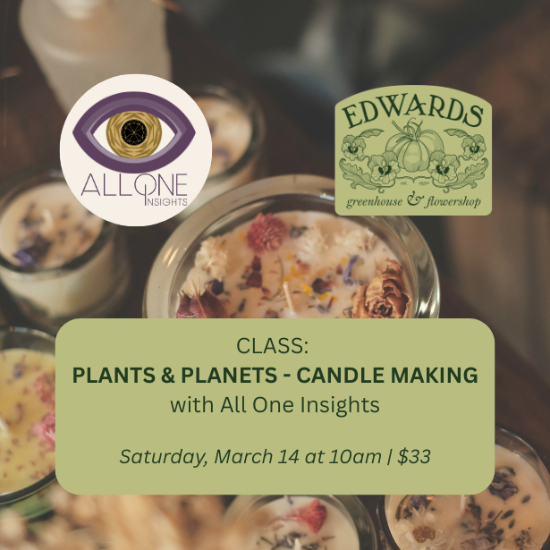 Plant Craft and Planetary Transits: Candle Making / Saturday, March 14 at 10a