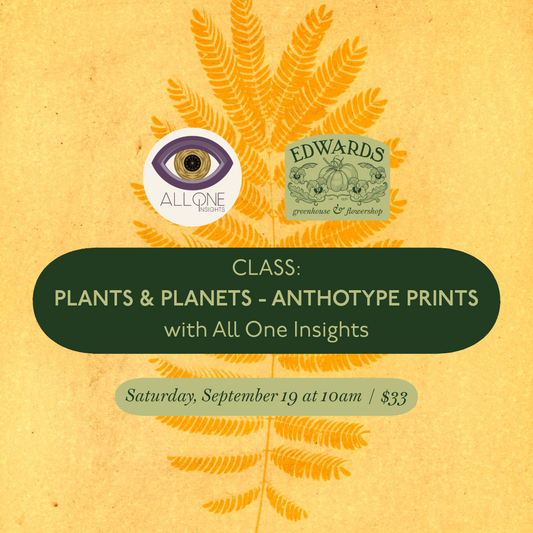 Plant Craft and Planetary Transits: Anthotype Prints / Saturday, September 19 at 10a