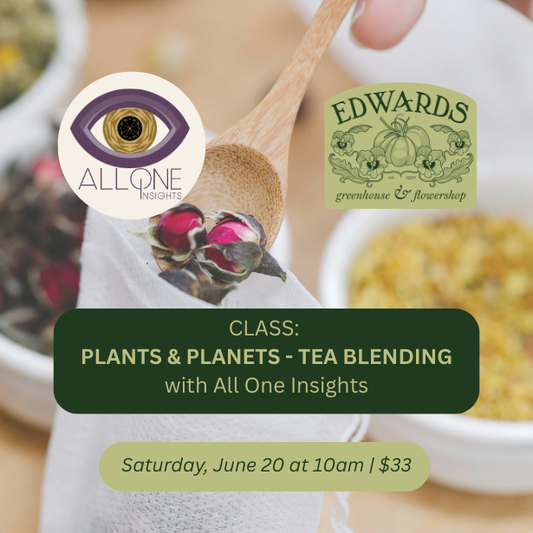 Plant Craft and Planetary Transits: Tea Blending / Saturday, June 20 at 10a