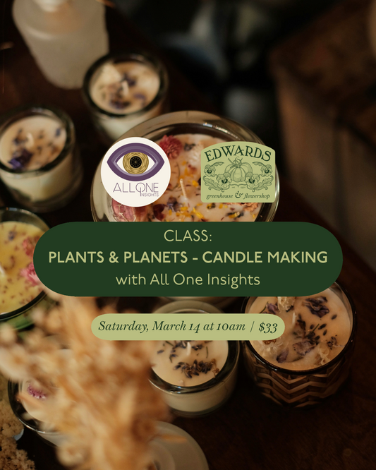 Plant Craft and Planetary Transits: Candle Making / Saturday, March 14 at 10a
